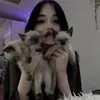 🐈 Эмодзи «Shawty Shaww» для Telegram