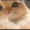 👛 Эмодзи «wakeupis2015 💅🏻» для Telegram