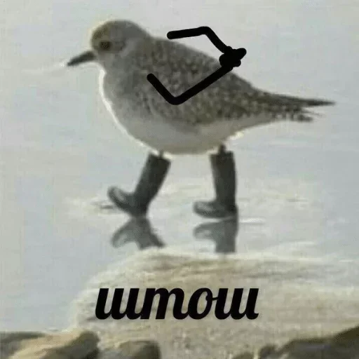 🙁 Стикер «Moy pack» для Telegram