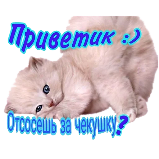 👋 Стикер «Стикеры ебать)» для Telegram