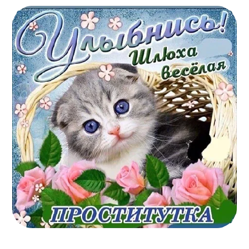😊 Стикер «Стикеры ебать)» для Telegram