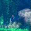 🌟 Эмодзи «Рапунцель» для Telegram