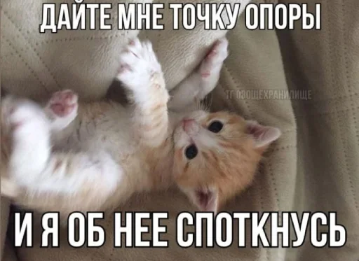 🤩 Стикер «𝔓𝔬𝔡𝔳𝔞𝔩 𝔐𝔦𝔷𝔲𝔨» для Telegram