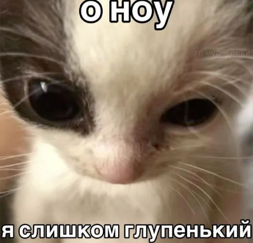 Стикерпак 𝔓𝔬𝔡𝔳𝔞𝔩 𝔐𝔦𝔷𝔲𝔨 для Telegram — скачать