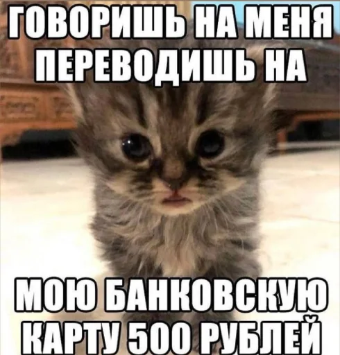 🤩 Стикер «𝔓𝔬𝔡𝔳𝔞𝔩 𝔐𝔦𝔷𝔲𝔨» для Telegram