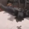🎢 Эмодзи «Манки Пон» для Telegram