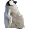 🤩 Эмодзи «Пингвины» для Telegram
