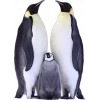 🤩 Эмодзи «Пингвины» для Telegram