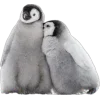🤩 Эмодзи «Пингвины» для Telegram