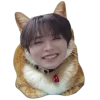 🤩 Эмодзи «✧⁠*⁠。stray kids» для Telegram