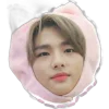 🤩 Эмодзи «✧⁠*⁠。stray kids» для Telegram