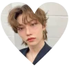 🤩 Эмодзи «✧⁠*⁠。stray kids» для Telegram