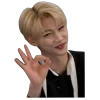 🤩 Эмодзи «✧⁠*⁠。stray kids» для Telegram