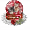 🤩 Эмодзи «» для Telegram