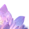 🤩 Эмодзи «ℯ ℯ ℴ ℯ ℒℴ//» для Telegram