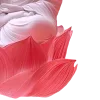 🤩 Эмодзи «ℯ ℯ ℴ ℯ ℒℴ//» для Telegram