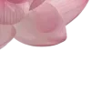 🤩 Эмодзи «ℯ ℯ ℴ ℯ ℒℴ//» для Telegram
