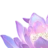 🤩 Эмодзи «ℯ ℯ ℴ ℯ ℒℴ//» для Telegram