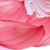 🤩 Эмодзи «ℯ ℯ ℴ ℯ ℒℴ//» для Telegram