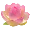 🤩 Эмодзи «ℯ ℯ ℴ ℯ ℒℴ//» для Telegram