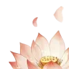 🤩 Эмодзи «ℯ ℯ ℴ ℯ ℒℴ//» для Telegram