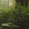🤩 Эмодзи «foggy» для Telegram