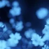 🤩 Эмодзи «foggy» для Telegram
