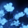 🤩 Эмодзи «foggy» для Telegram