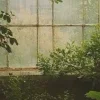 🤩 Эмодзи «foggy» для Telegram