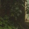 🤩 Эмодзи «foggy» для Telegram