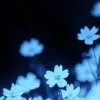 🤩 Эмодзи «foggy» для Telegram