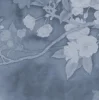 🤩 Эмодзи «foggy» для Telegram