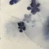 🤩 Эмодзи «foggy» для Telegram