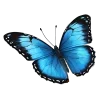 🤩 Эмодзи «🤩 эмодзи в стиле frutiger aero» для Telegram