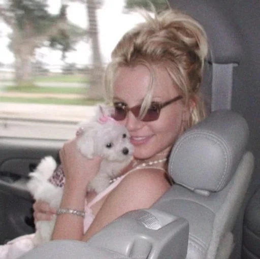 🤩 Стикер «Britney Spears» для Telegram
