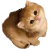 🍂 Эмодзи «большеe ྀི» для Telegram