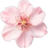 🤩 Эмодзи «Я Еще Не» для Telegram