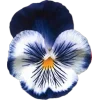 🤩 Эмодзи «Я Еще Не» для Telegram