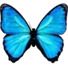 🤩 Эмодзи «Я Еще Не» для Telegram