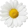🤩 Эмодзи «Я Еще Не» для Telegram