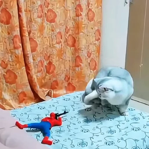 🐈 Стикер «Собачки и котики» для Telegram