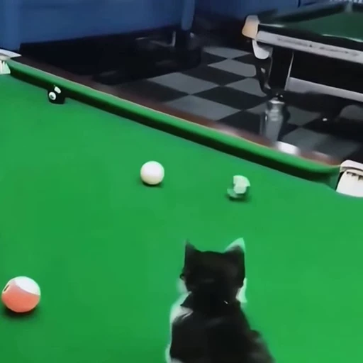 🐈 Стикер «Собачки и котики» для Telegram