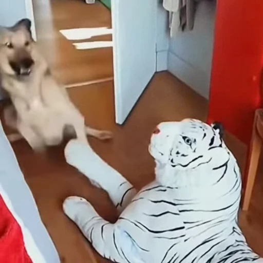 🐩 Стикер «Собачки и котики» для Telegram