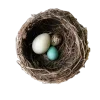 🐦 Эмодзи «Magic Era» для Telegram