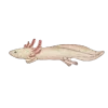 🐠 Эмодзи «Magic Era» для Telegram