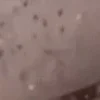 😥 Эмодзи «Я бы тоже заплакал....» для Telegram