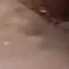 🤣 Эмодзи «Я бы тоже заплакал....» для Telegram