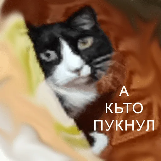 Стикерпак чикибамбони для Telegram