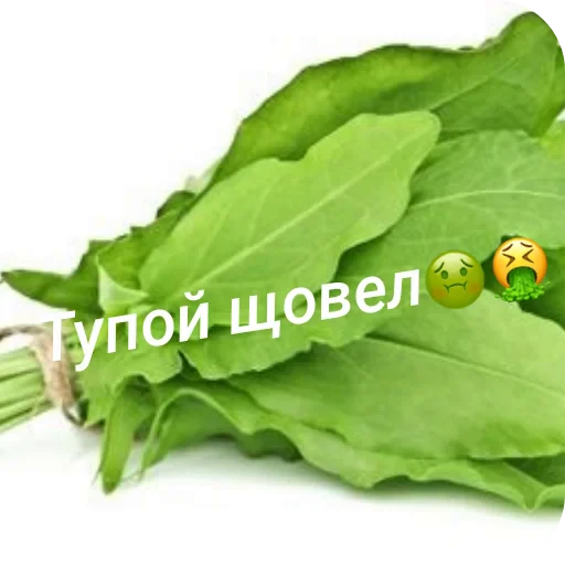 🥦 Стикер «Стік пак літвіна» для Telegram