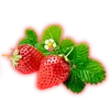 🌟 Эмодзи «Strawberry pink» для Telegram